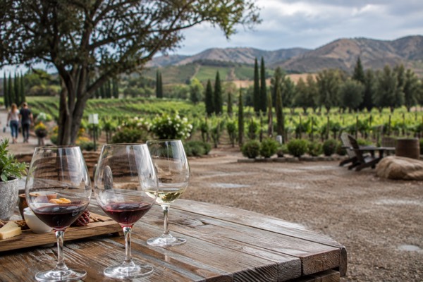 Luxury Private Wine Tasting Tour, Valle de Guadalupe