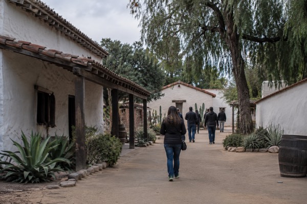 Old Town Walking Food Tour: Tequila, Old Town