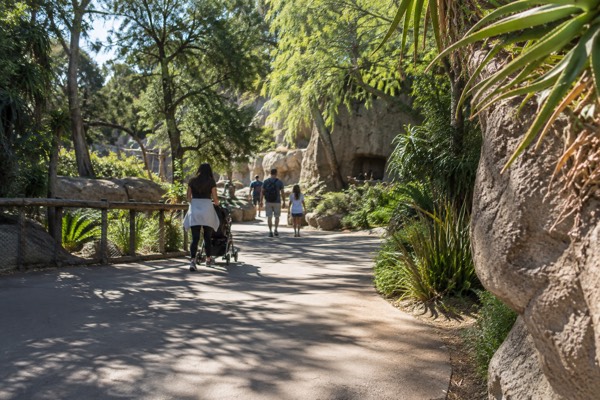 Zoo Admission Ticket, San Diego