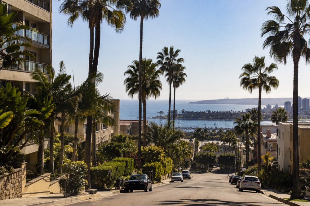 Row of palm-lined residential streets with hillside homes above a Pacific coastline at golden hour
