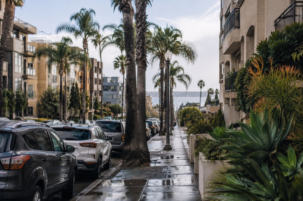A quiet residential street in San Diego with modest apartment buildings beside palm trees