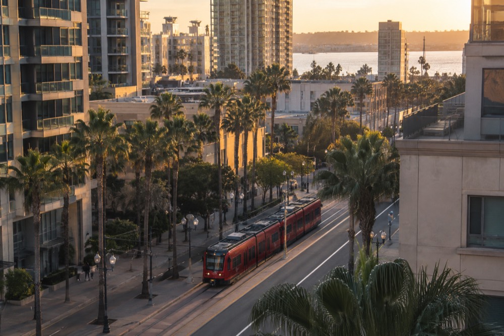 A red trolley vehicle on a downtown street with palm trees and buildings behind it