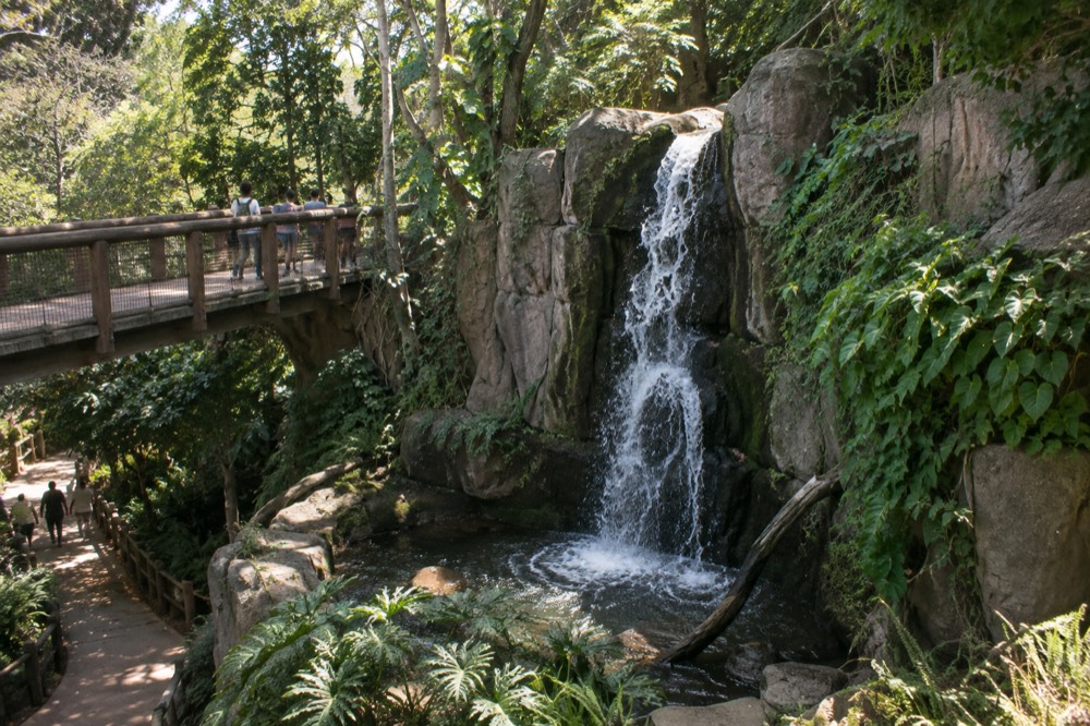 A lush zoo landscape with a waterfall, hanging vines, and a wooden viewing bridge