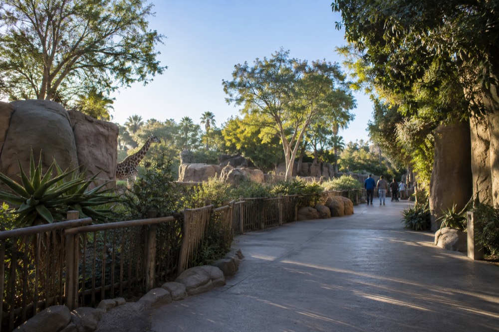 Sunlit animal enclosure pathway at the San Diego Zoo on a clear calm morning