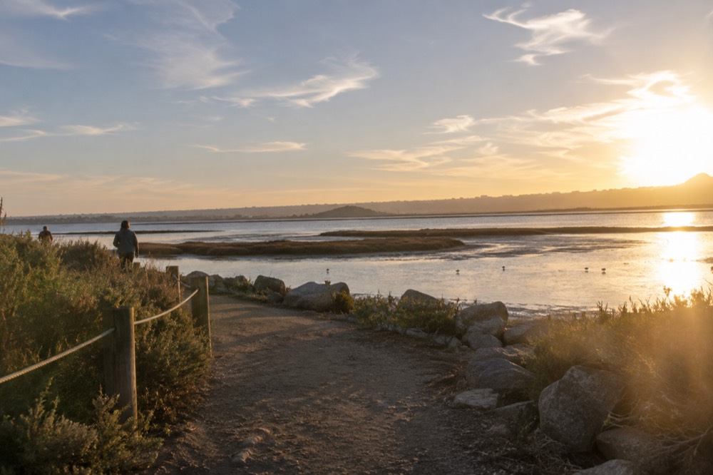 Calm shallow water and coastal wetland along the Chula Vista bayfront at low tide