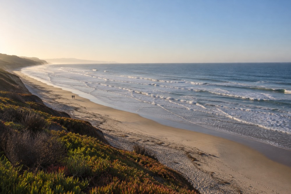 Low coastal bluffs with ice plant above a wide empty beach in Del Mar