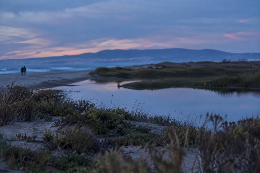 Coastal dunes and wetland grasses with distant hills across a wide horizon