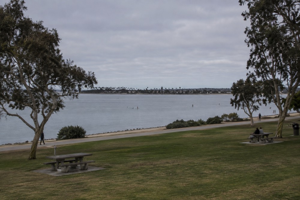 A grassy shoreline park beside calm water with picnic tables and scattered trees