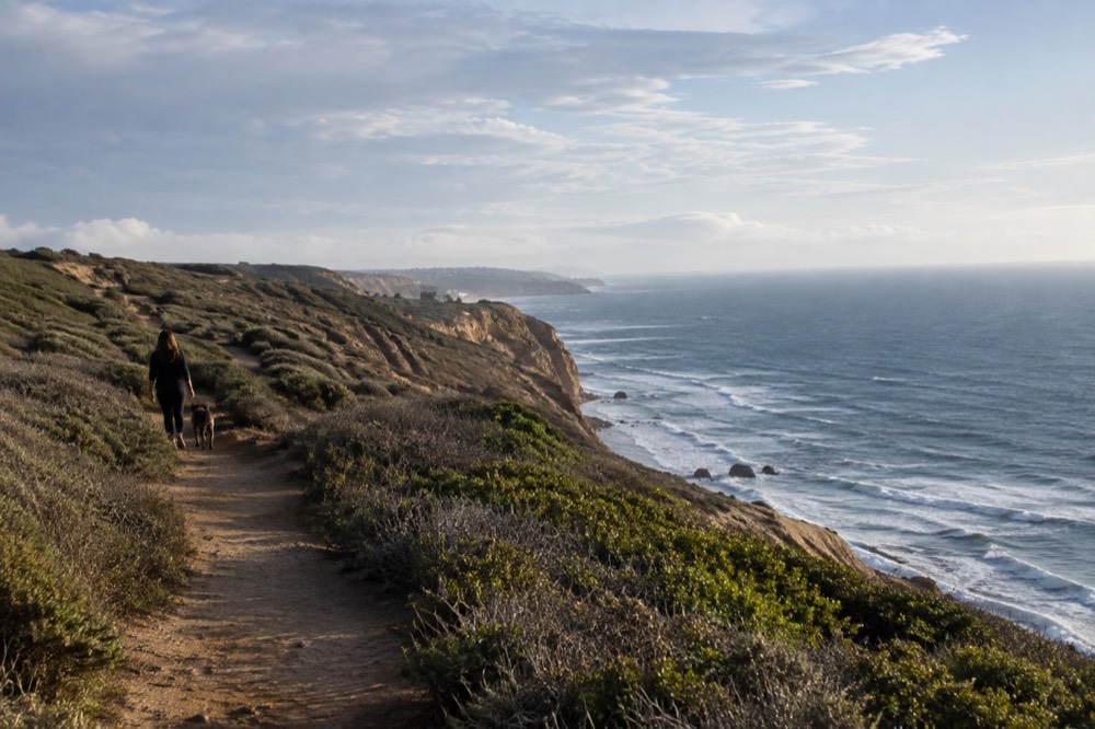 Afternoon light over the Point Loma headland and Pacific Ocean