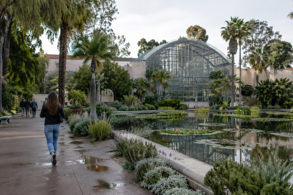 Lily pond with a tall lattice glass building surrounded by plants