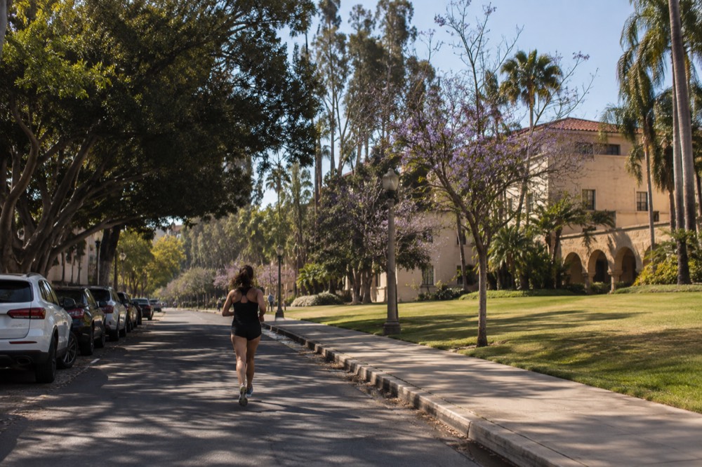 Tree lined road with parked cars beside a park lawn and museum buildings