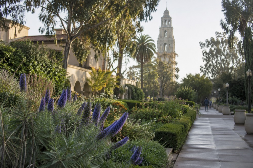 Garden path with flowers and a museum tower in soft morning light