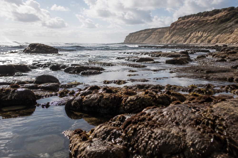 Coastal tide pools at low tide below the Cabrillo Monument cliffs