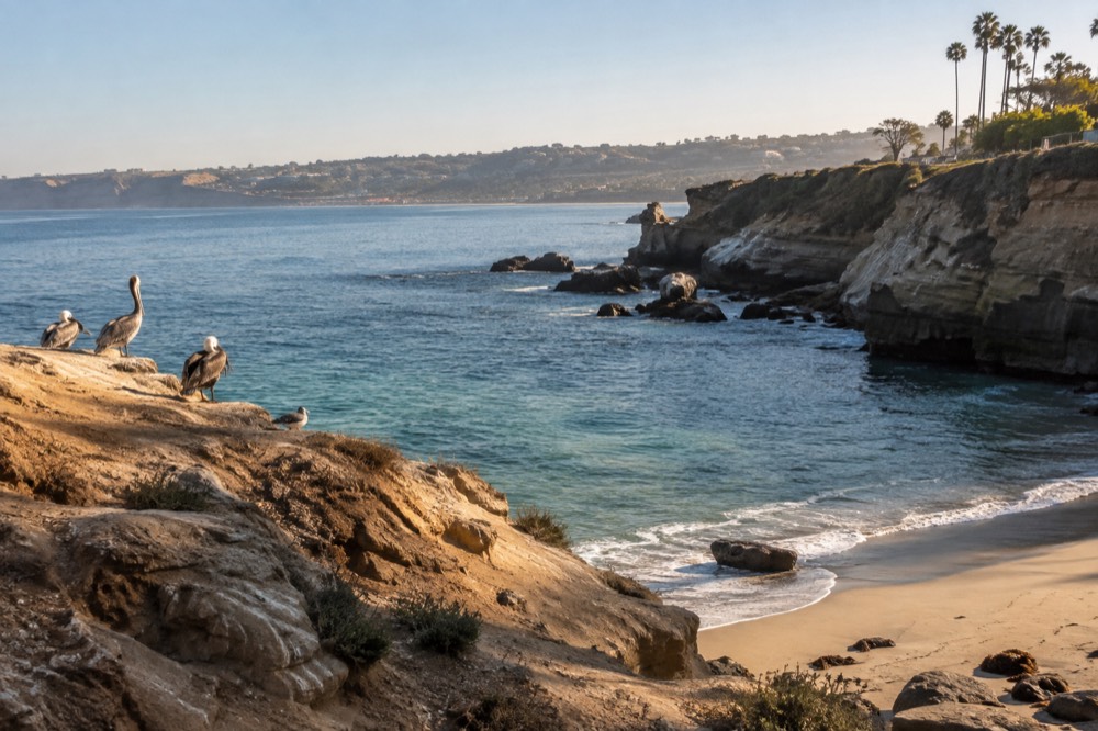 Turquoise water and sandstone cliffs at a small cove beach with pelicans on the rocks