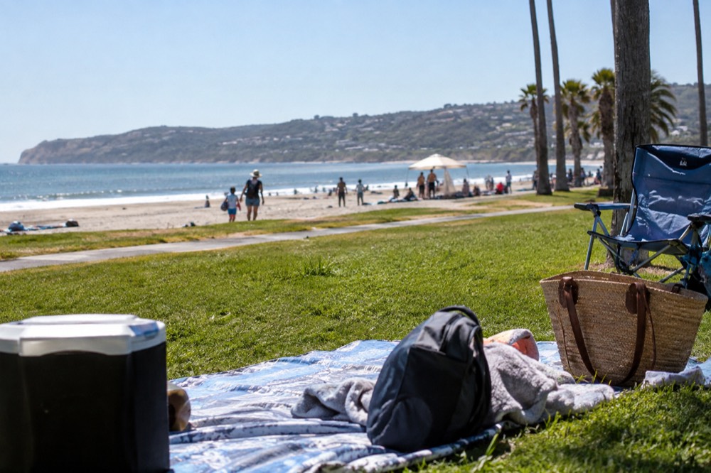 Families setting up on the wide sand and grass park behind the beach on a sunny morning