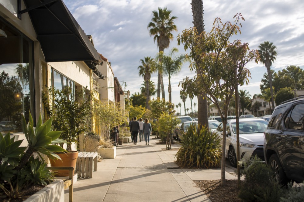 Small coastal town street with palm trees and low storefronts in afternoon light