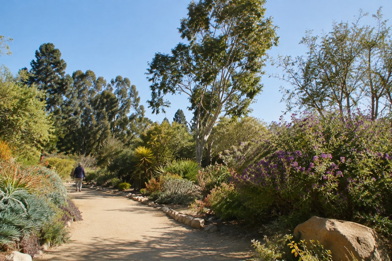 Winding path through lush planted gardens with tall trees and flowering shrubs under a blue sky