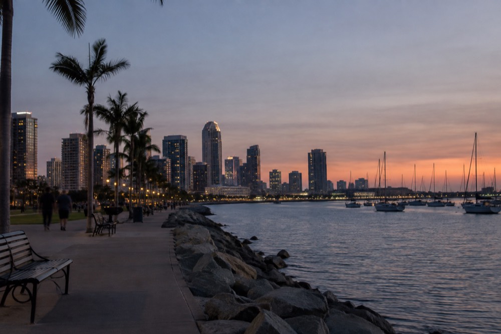 Bayside walking path with palm trees, benches and sailboats on calm water at golden hour