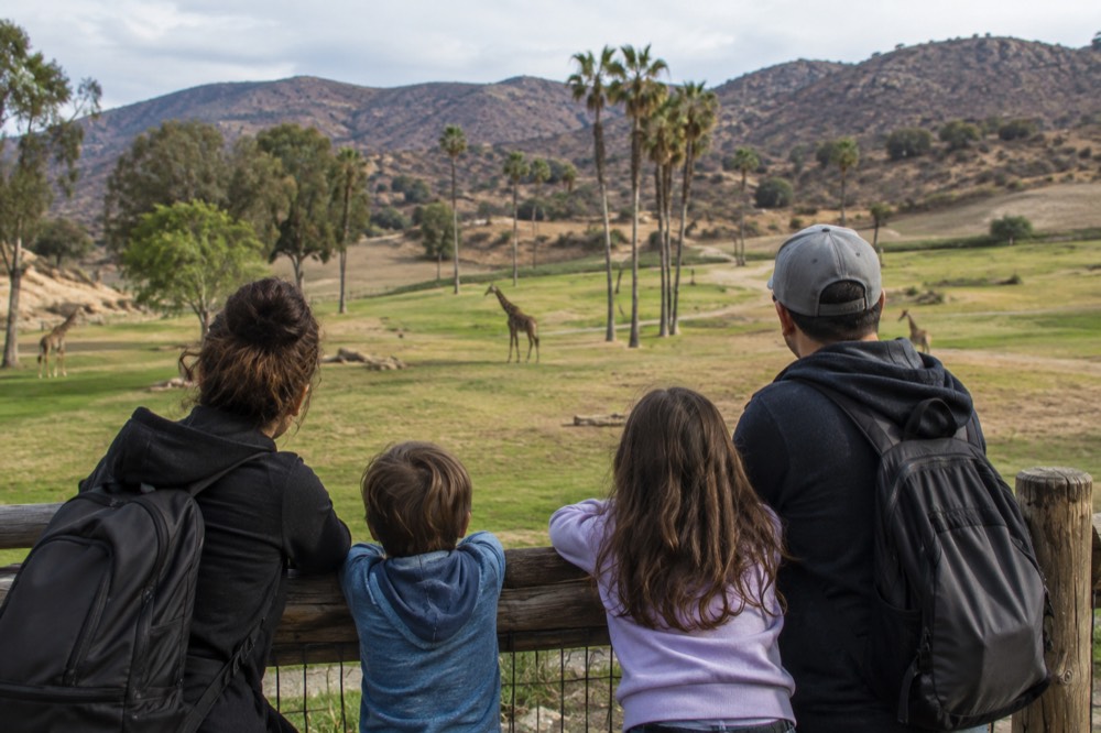 A family with children looking out from a wooden railing over a field exhibit