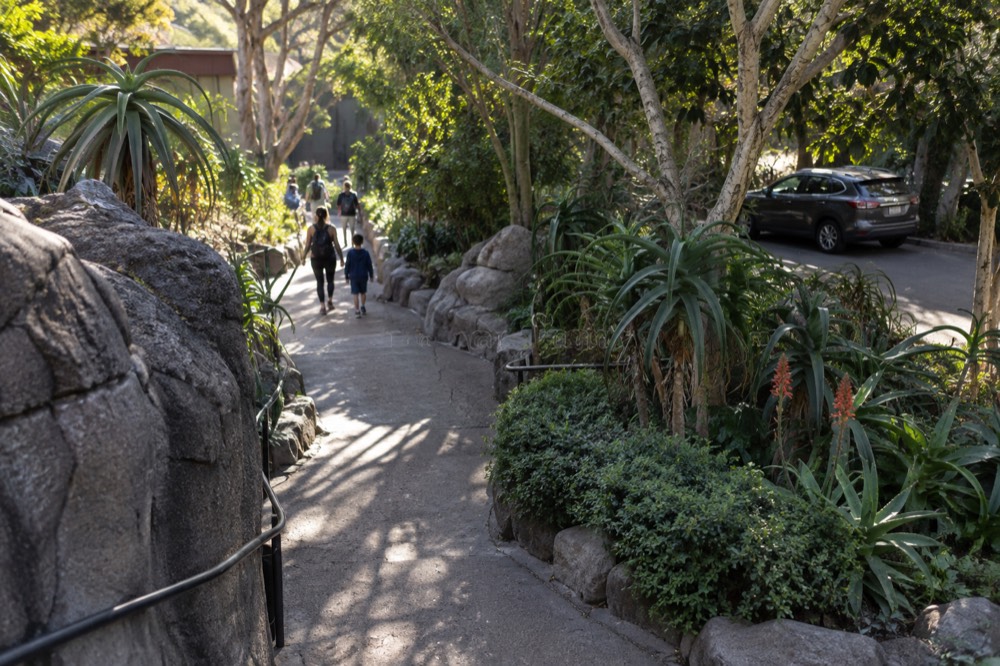 A parked car under trees beside a zoo entrance plaza on a sunny morning