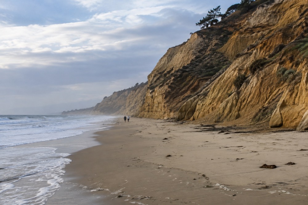 Empty sandy beach below tall eroded cliffs at the base of the reserve