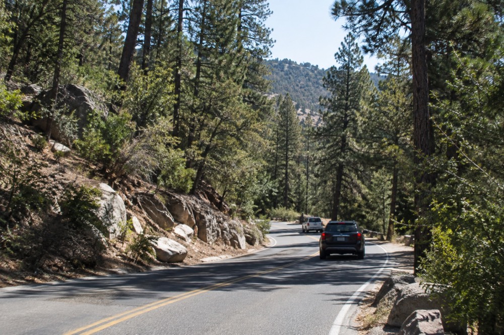 Winding two-lane road climbing through pine forest toward a mountain village