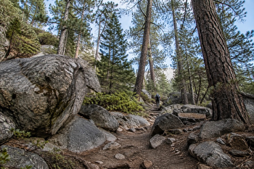 Granite boulders and tall pines along a mountain hiking trail