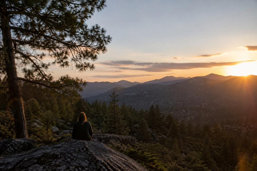 Wide view of pine-covered mountains at dusk with a valley below