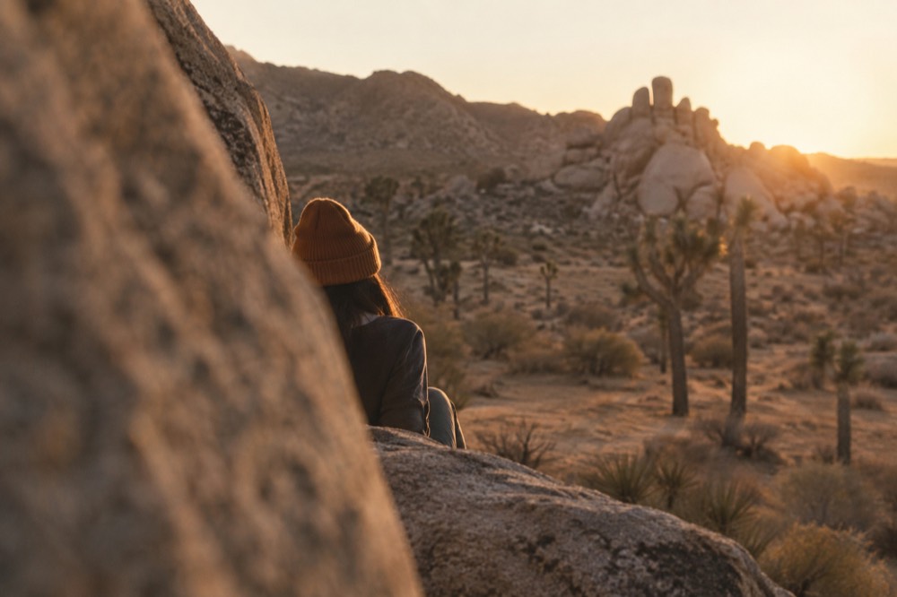 Golden late afternoon light across open desert with distant rock formations
