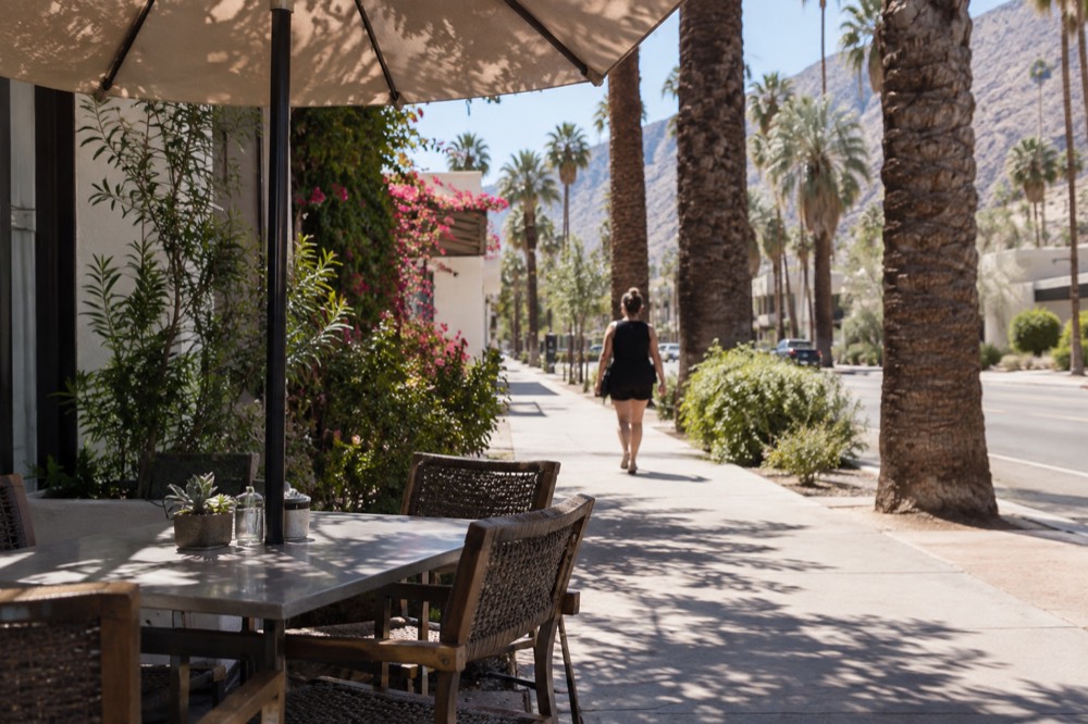 A shaded outdoor lunch table on a palm-lined street in a desert town
