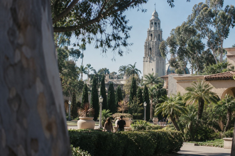 The California Tower rising above museum buildings in Balboa Park
