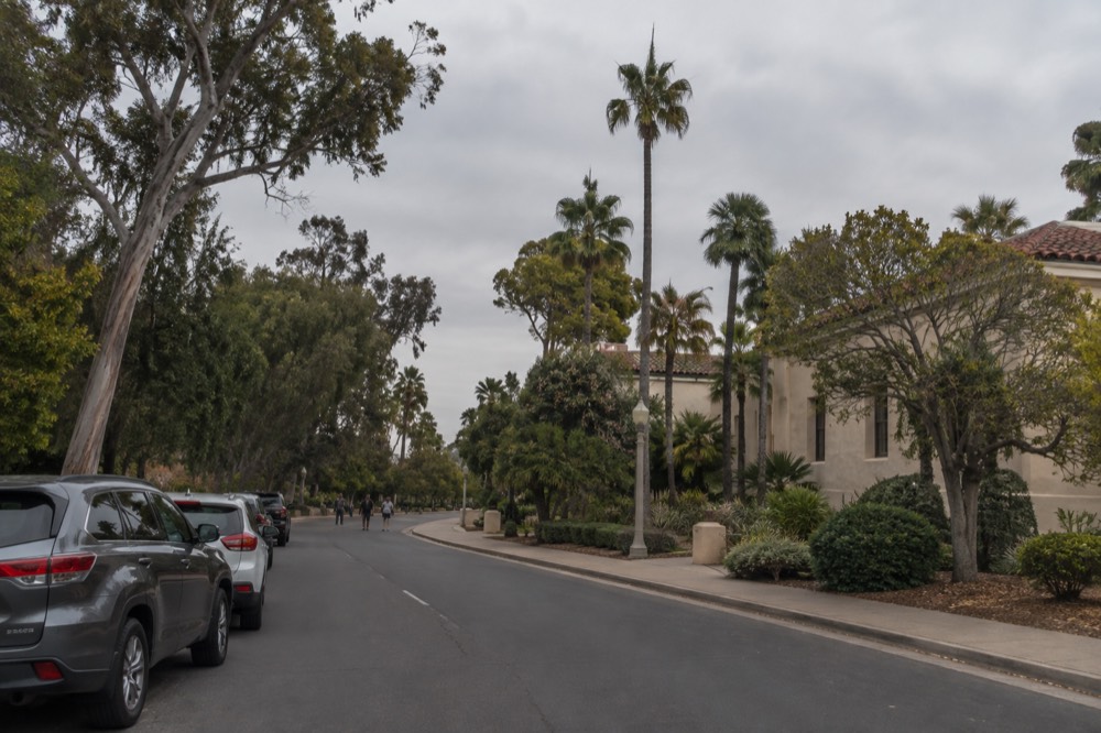 A tree-lined park road with parked cars along the edge of Balboa Park