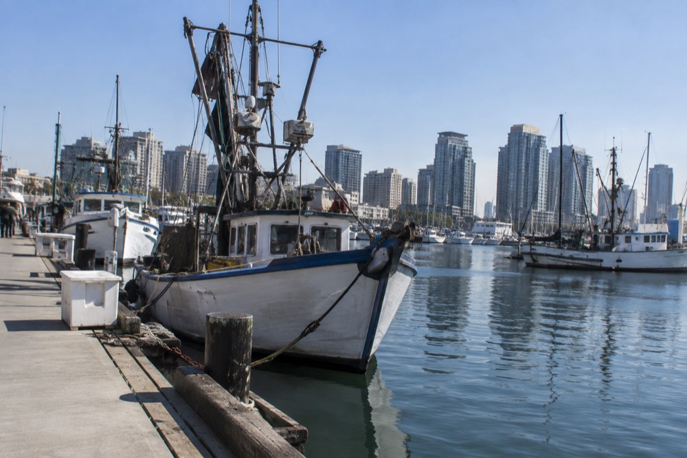 Fishing boats moored along a San Diego Bay harbor in morning light