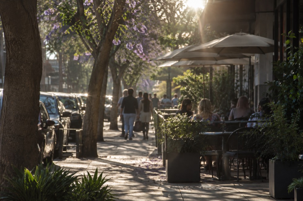 A tree-lined street in Little Italy with outdoor cafe tables in afternoon light
