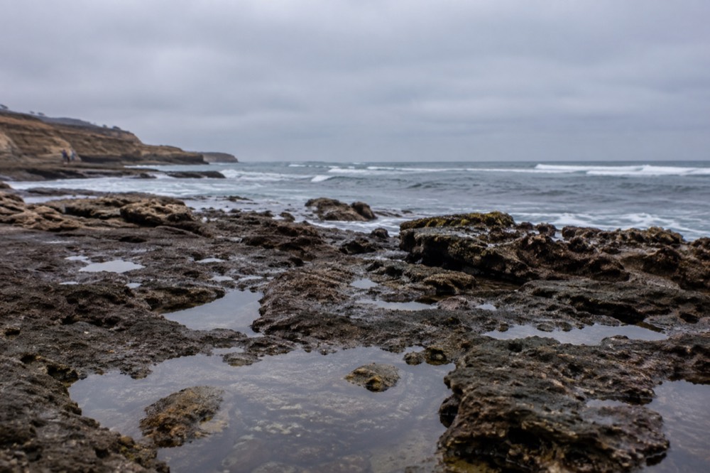 Tidepools at Cabrillo National Monument with the ocean beyond