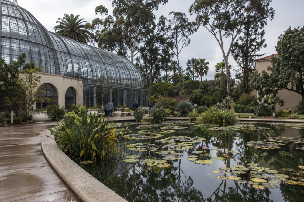 A glass conservatory building beside a lily pond surrounded by garden paths