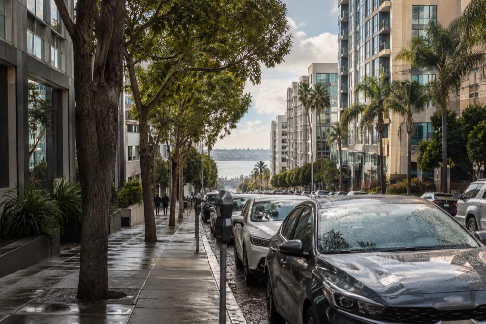 Cars parked along a tree-lined street in downtown San Diego with parking meters at the curb