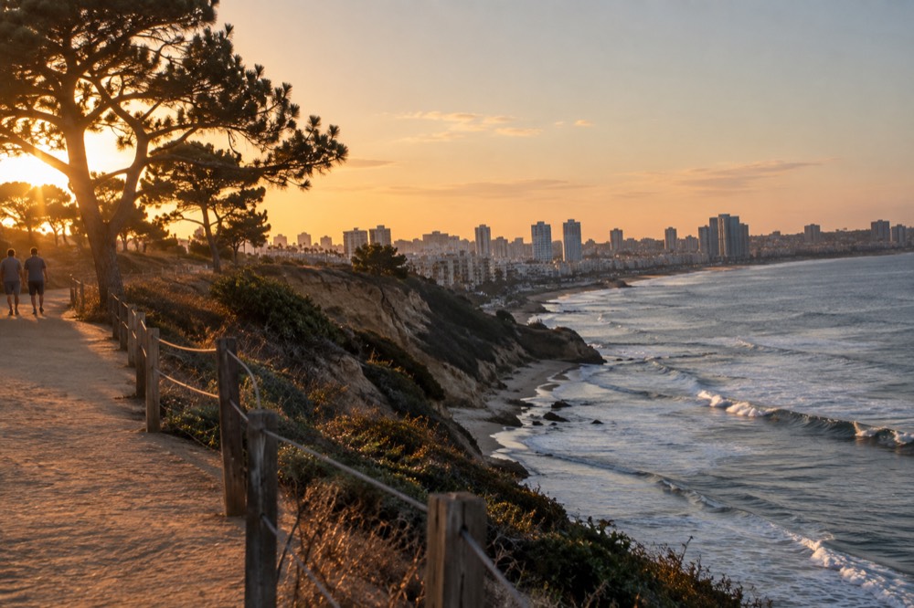 A wide sandstone bluff trail with the ocean below and pine trees along the edge
