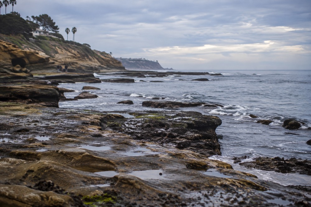 Rocky point at La Jolla with exposed reef and ocean beyond at low tide