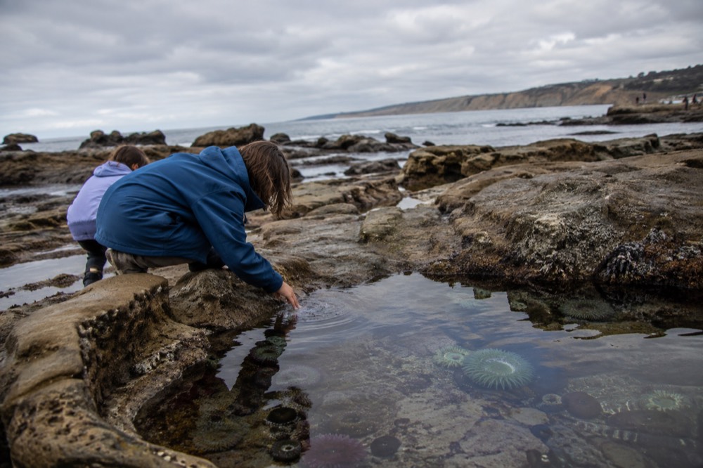 Aquarium tide pool touch exhibit with shallow water and rocky display