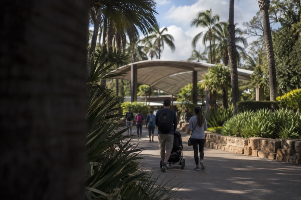 Zoo entrance canopy with palm trees and visitors walking a garden path