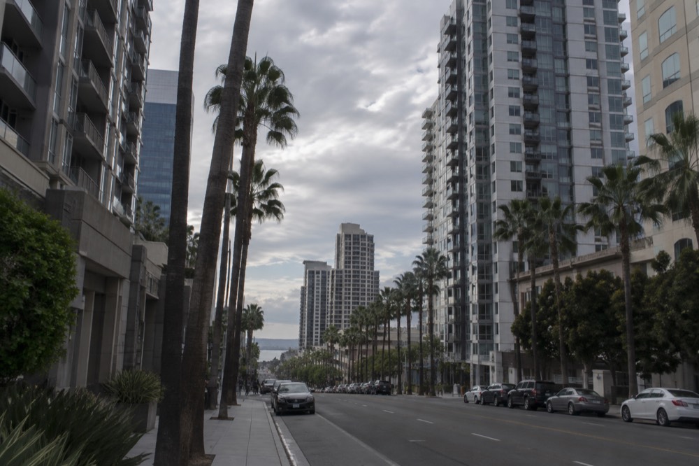 Palm-lined street in San Diego under a partly cloudy afternoon sky