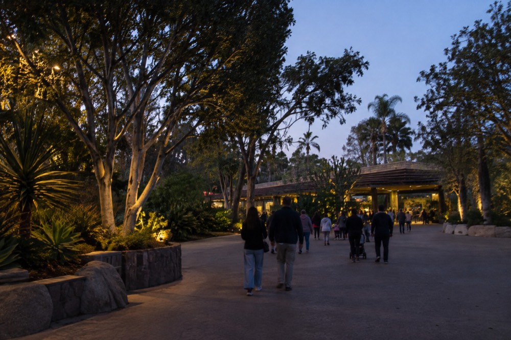 Wide view of the San Diego Zoo entrance with visitors walking through a tree-lined plaza
