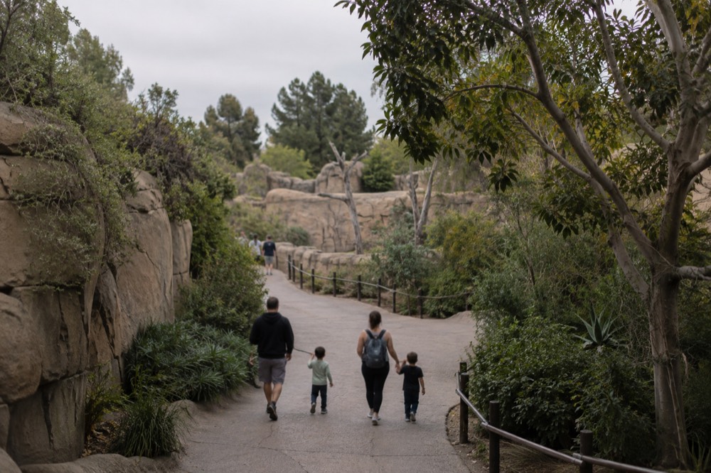 A family reading a zoo map near a shaded walkway inside the San Diego Zoo