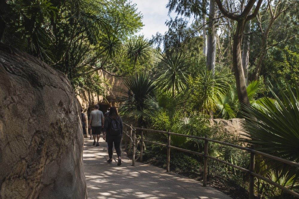 Palm-lined parking area outside the San Diego Zoo entrance