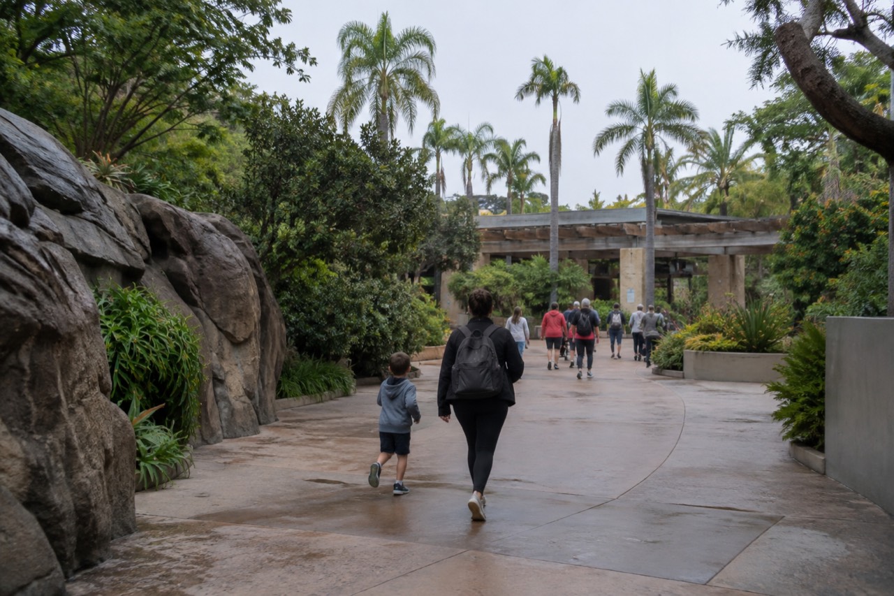 Entrance plaza of the San Diego Zoo with palm trees and a ticket archway