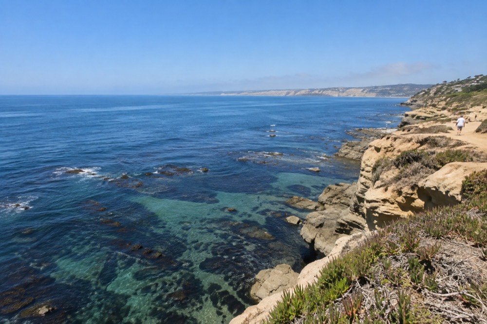 Rocky reef and kelp beds in clear green water below a sandstone cliff