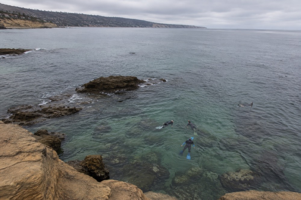 A small group of snorkelers swimming over a rocky reef in green water