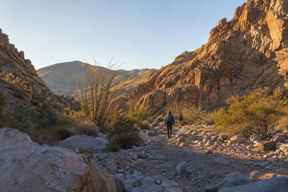 A desert canyon in Anza-Borrego with winter morning light on the rock walls