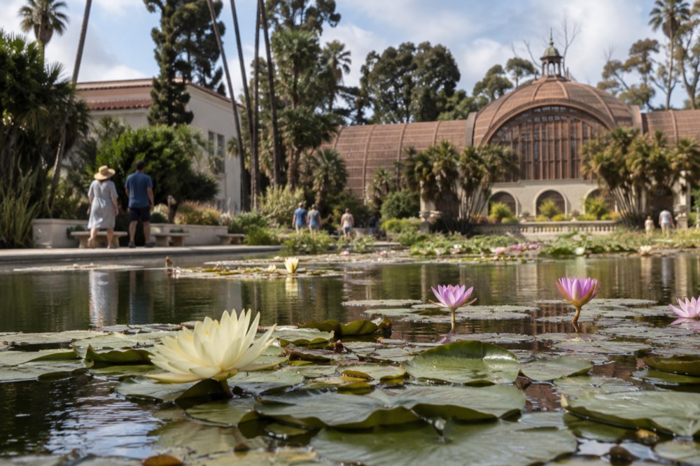 Balboa Park gardens with the Botanical Building lily pond in summer bloom